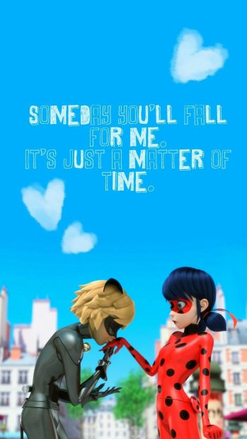 Aesthetic Miraculous Ladybug Wallpaper HD.