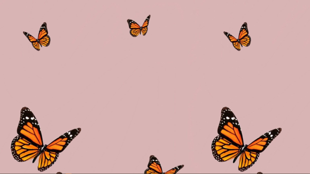 Aesthetic Pink Butterfly Wallpaper HD.