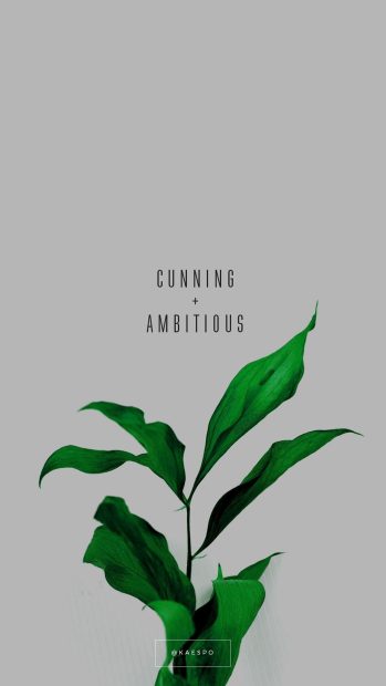 Aesthetic Plants Background.