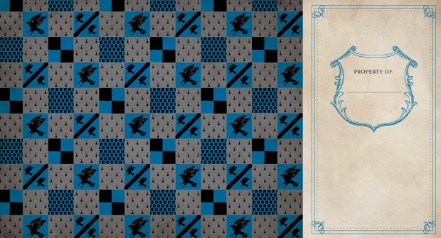 Aesthetic Ravenclaw Wallpaper HD.