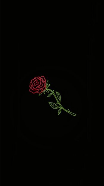 Aesthetic Rose Wallpaper 1080p.