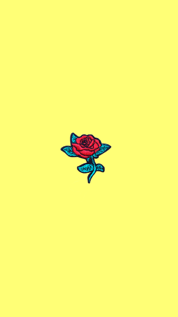 Aesthetic Rose Wallpaper.