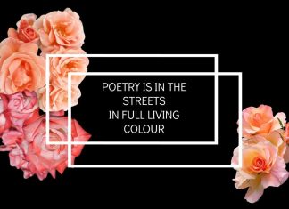 Rose Aesthetic Wallpapers Tag Rose Aesthetic Wallpapers Tag