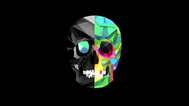 Aesthetic Skulls Wallpaper HD.