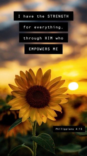 Aesthetic Sunflower Background for iPhone.