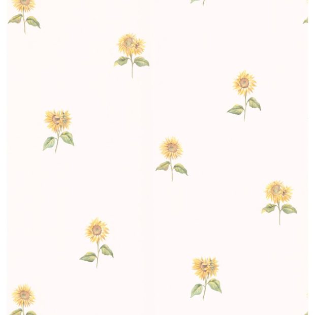 Aesthetic Sunflower Backgrounds Minimalist.