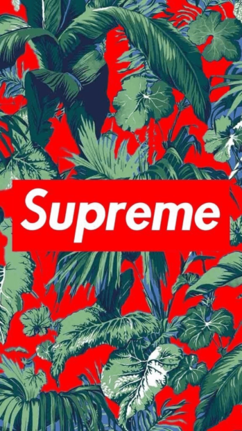 Aesthetic Supreme HD Wallpaper.