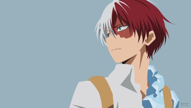 Aesthetic Todoroki Wallpaper HD.