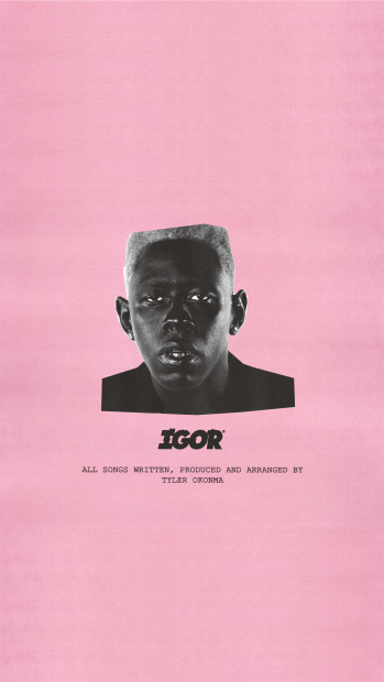 Aesthetic Tyler The Creator Wallpaper HD.