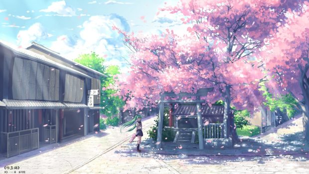 Aesthetic Wallpaper Anime Wallpaper Sakura.