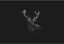 Aesthetic Wallpaper Black Wallpaper HD Deer.