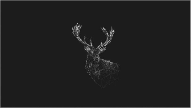 Aesthetic Wallpaper Black Wallpaper HD Deer.