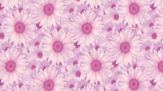 Aesthetic Wallpaper For Laptop Wallpaper Pink Flower.