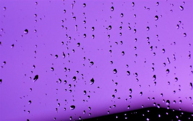 Aesthetic Wallpaper Purple Wallpaper HD 1080p.