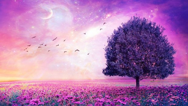 Aesthetic Wallpaper Purple Wide Screen Wallpaper HD.