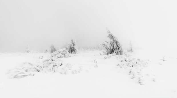 Aesthetic White Backgrounds Winter.