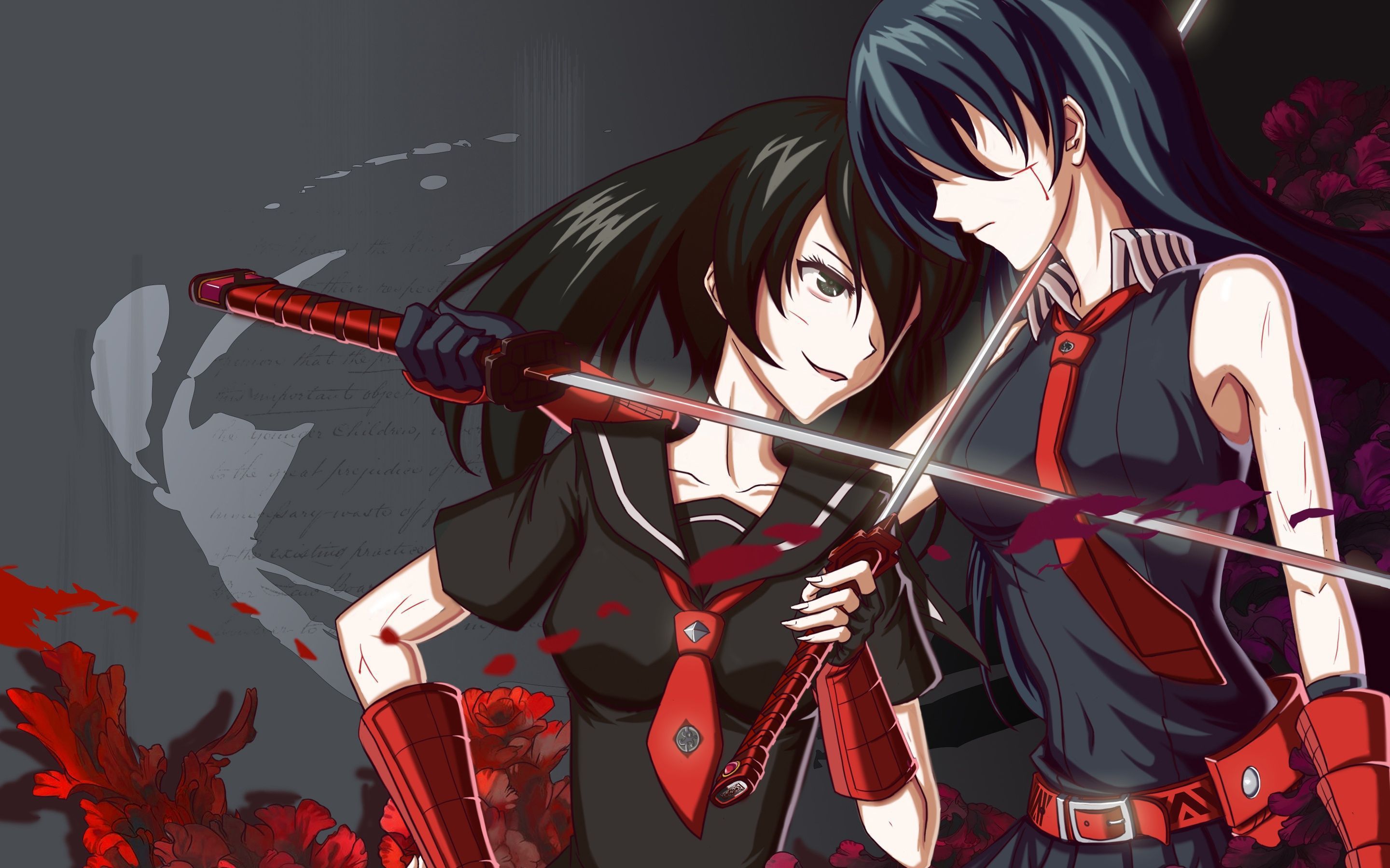 Akame Ga Kill Pictures Free Download. 