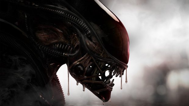 Alien Xenomorph Wallpaper HD.