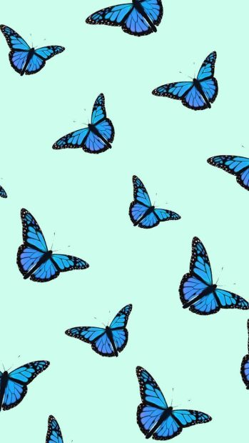 All Blue Butterfly Wallpaper Aesthetic HD.