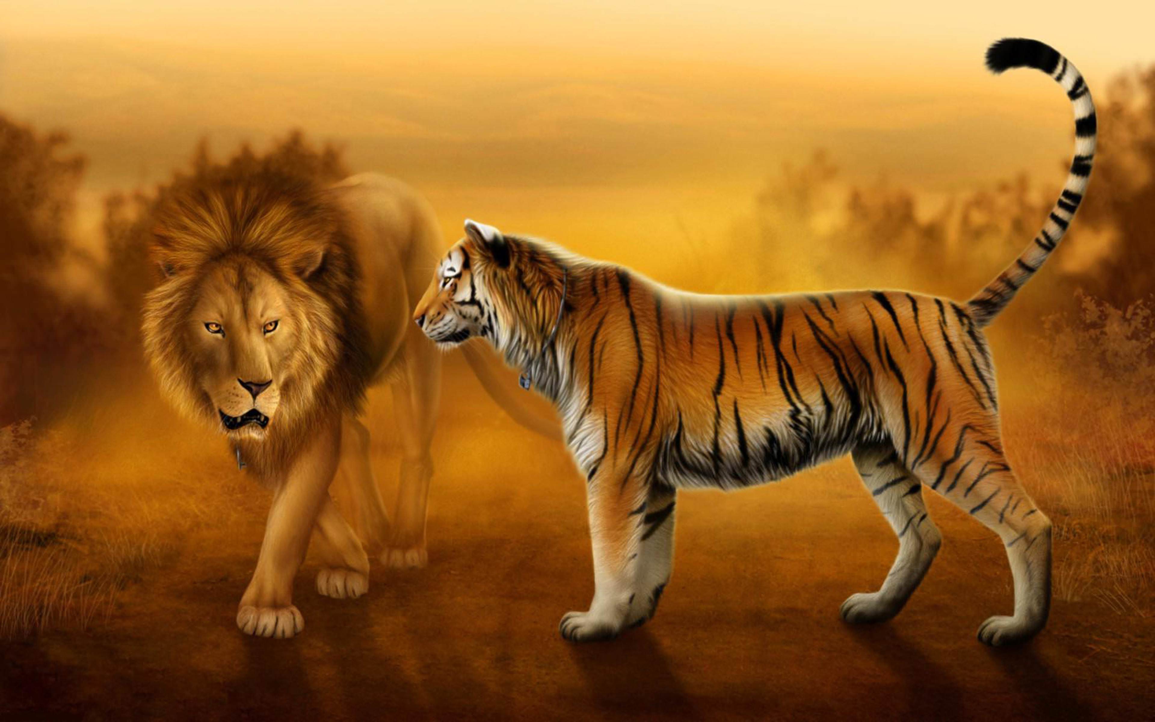 Ferocious Tiger On A Transparent Background PNG Images | PSD Free Download  - Pikbest