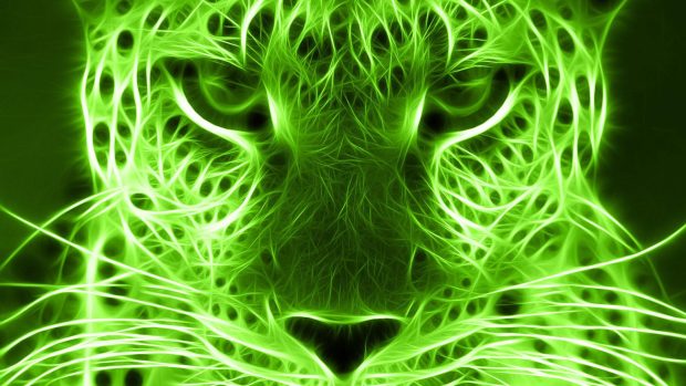 Animals Neon Green Wallpaper HD.