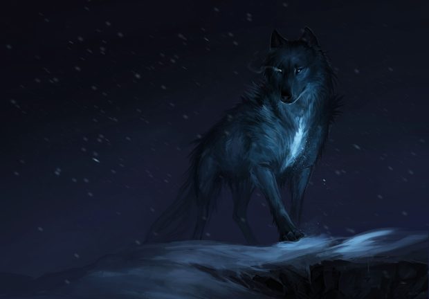 At Night Wolf Backgrounds HD.