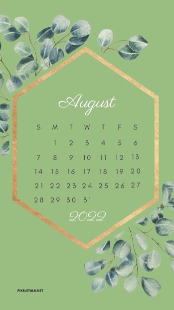 August 2022 Calendar iPhone Wallpaper HD 1080p.