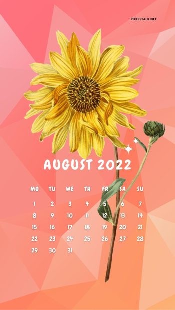 August 2022 Calendar iPhone Wallpaper HD.