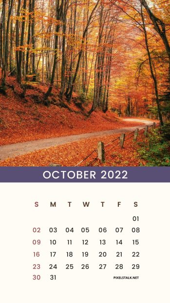 Autumn October 2022 Calendar Phone Wallpaper HD.