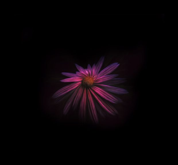 Awesome 3D Flower Background.