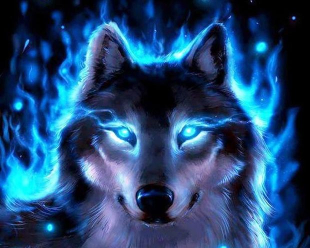 Awesome Blue Cool Wallpaper HD Wolf.