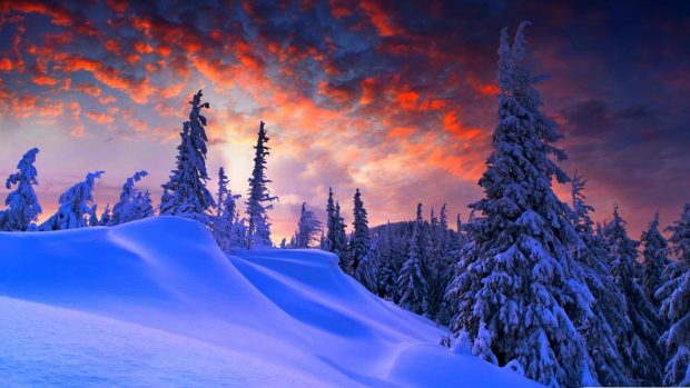 Awesome Blue Winter Wallpaper HD.