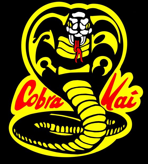 Awesome Cobra Kai Background.
