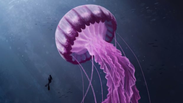 Awesome Jellyfish Background.