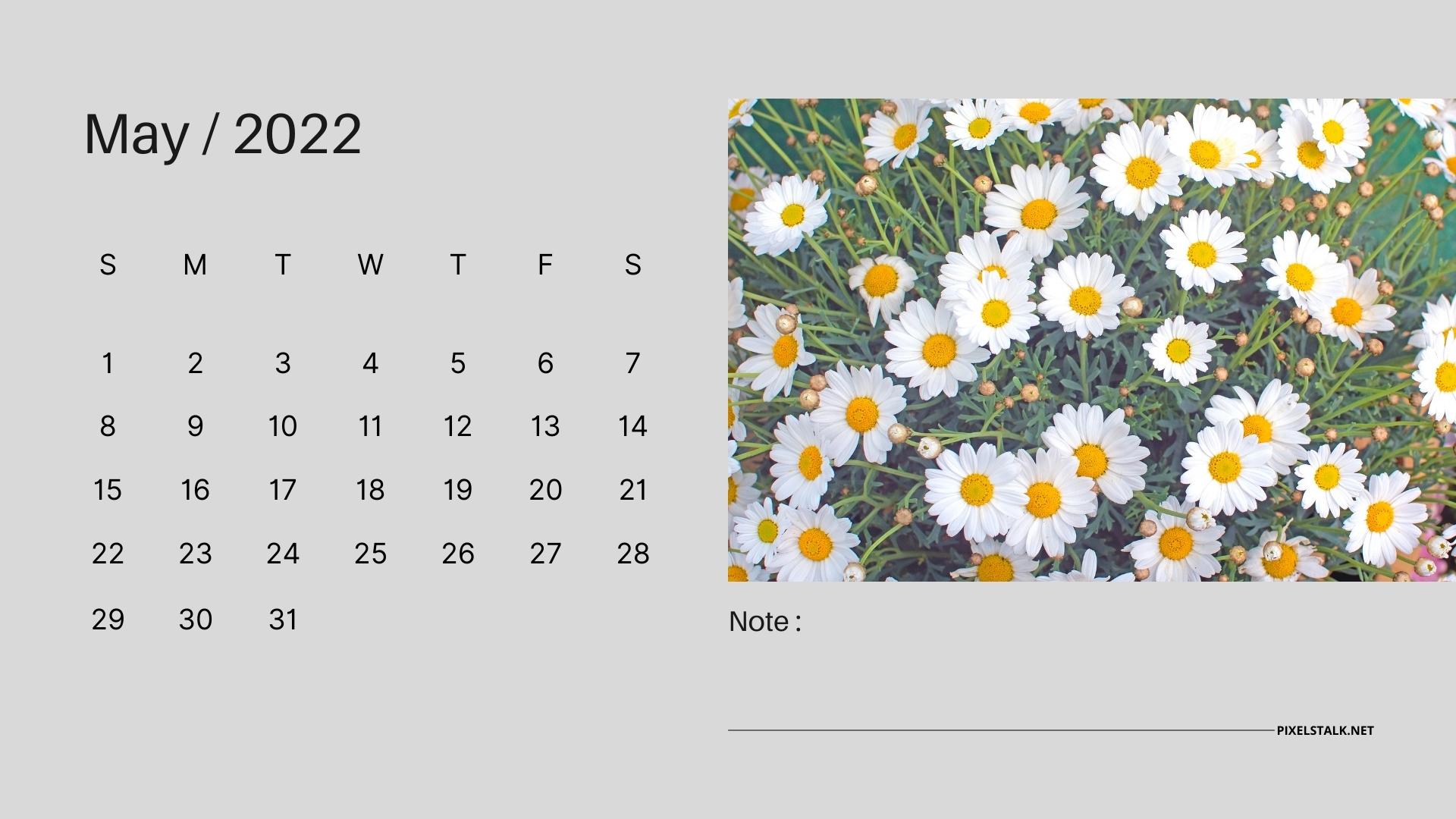 Simple May 2022 Desktop Calendar Wallpaper & Cute Spring Spring Laptop Home  Screen Background Aesthetic Minimal Office & School Supplies Home & Living  Office 