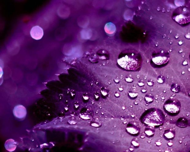 Awesome Purple Background.
