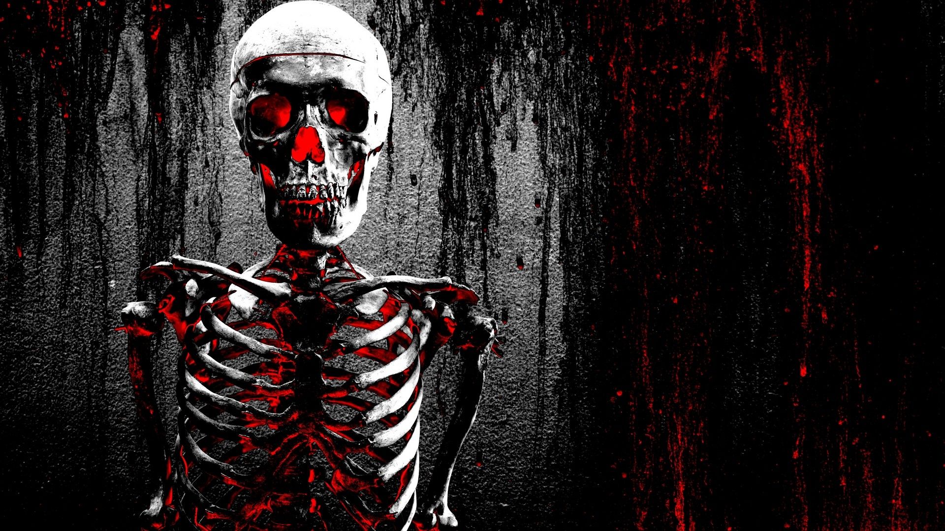 HD skull wallpapers  Peakpx