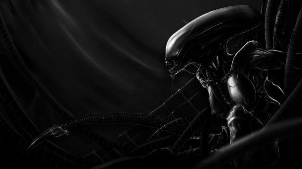 Awesome Xenomorph Wallpaper HD.