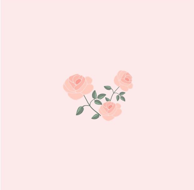 Background Aesthetic Baby Pink.