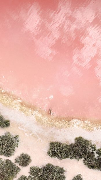 Beach Rose Gold Aesthetic Cute Backgrounds.