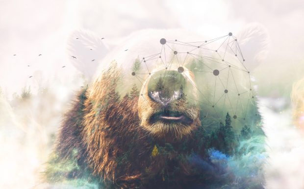 Bear Wallpaper Aesthetic HD.