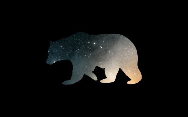 Bear Wide Screen Wallpaper.