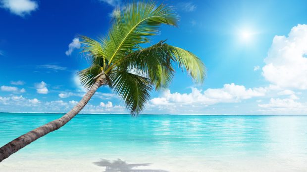 Beautiful 4K Beach Backgrounds.