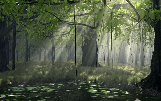 Beautiful Anime Forest Wallpaper.