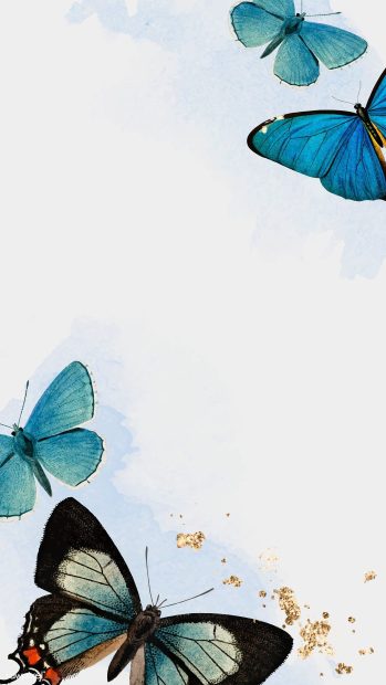 Beautiful Blue Butterfly Background Aesthetic.