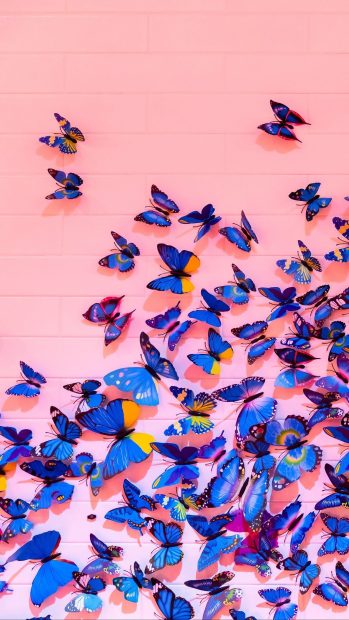Beautiful Butterfly Wallpaper Aesthetic Background.