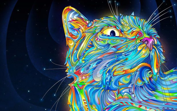 Beautiful Cool Cat Backgrounds.