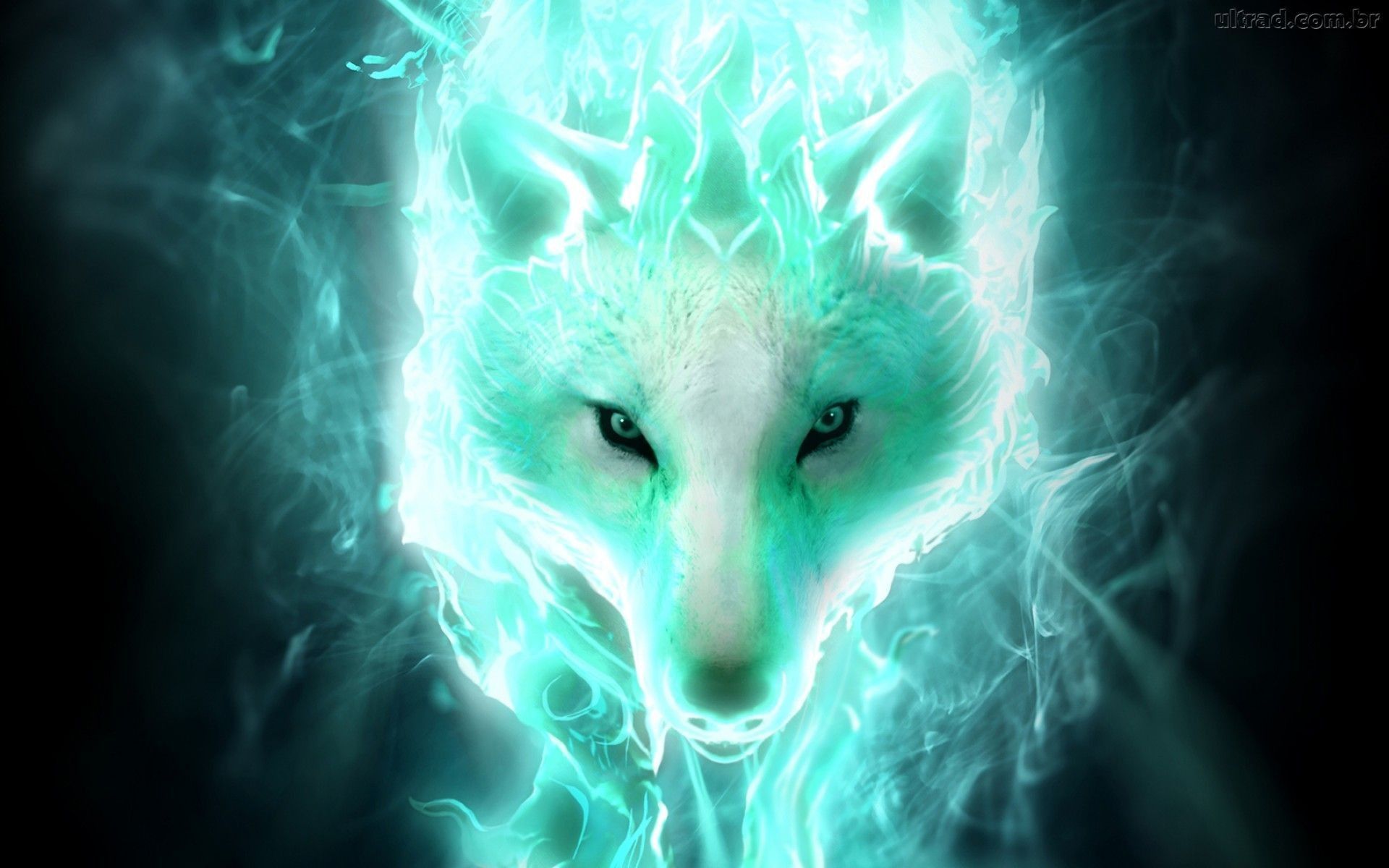 Galaxy Wolf APK for Android Download
