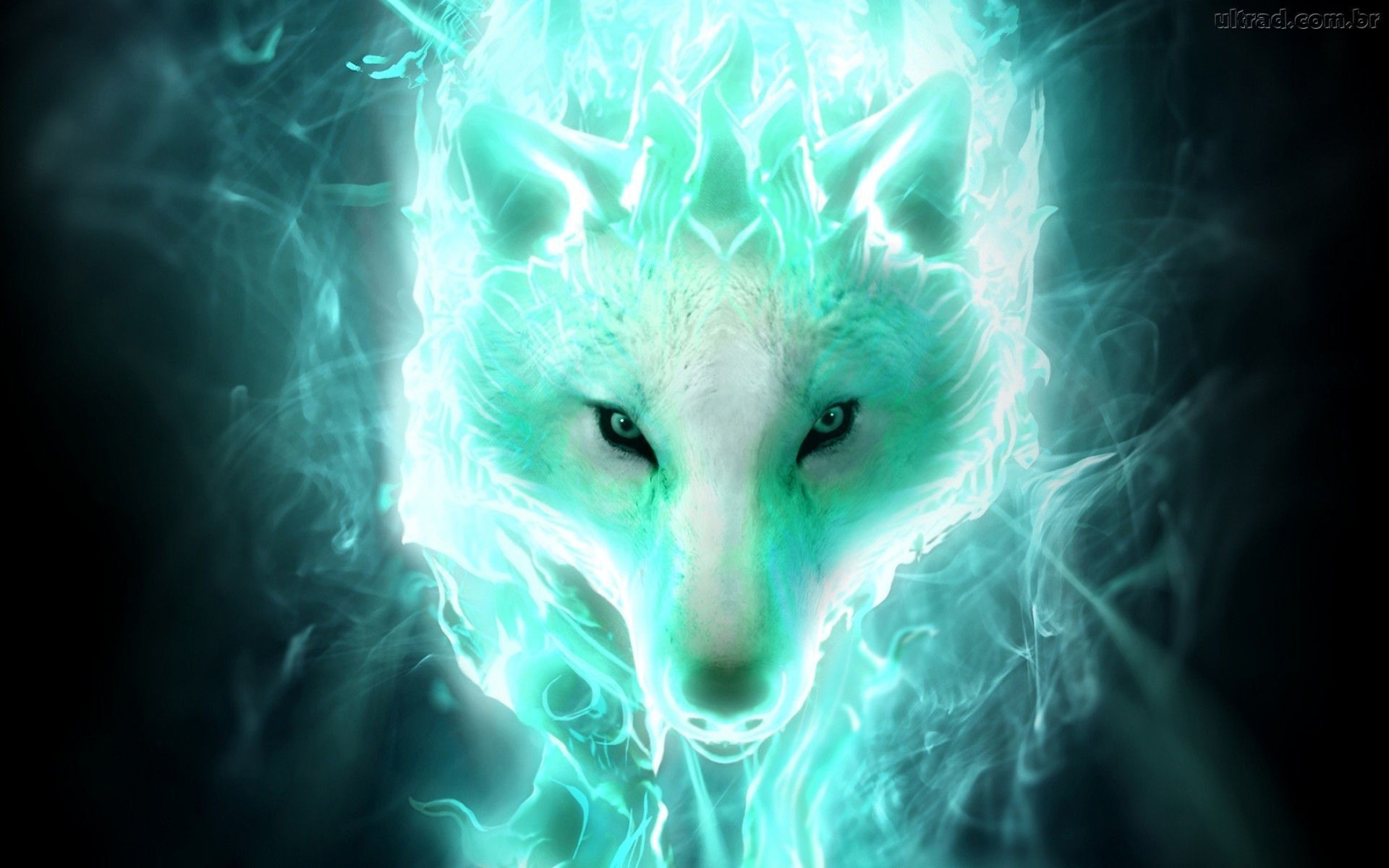 Cool Galaxy Wolf Wallpapers HD  PixelsTalkNet