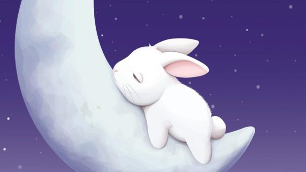 Beautiful Cute Bunny Wallpaper HD.